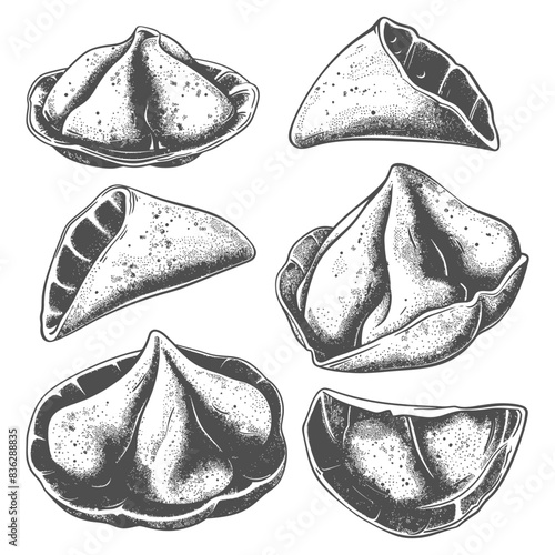Hand-Drawn Vintage Engraving Style Empanada Variations: Six Detailed Views
