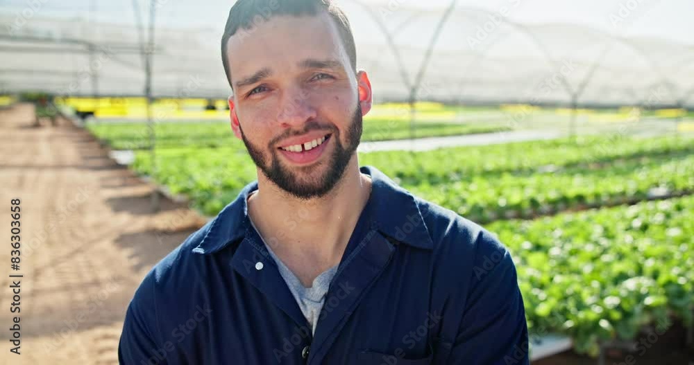 Farmer, face and businessman with arms crossed in greenhouse for eco friendly, growth or sustainable business startup. Agriculture, sustainability and portrait of farm worker with supply chain pride Farmer, face and businessman with arms crossed in greenhouse for eco friendly, growth or sustainable business startup. Agriculture, sustainability and portrait of farm worker with supply chain pride