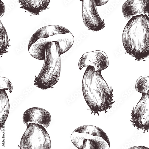 Forest edible boletus mushrooms with brown caps. Graphic illustration, hand drawn with brown ink, line art monochrome. Seamless pattern, simple on the theme of forest, harvest, nature.