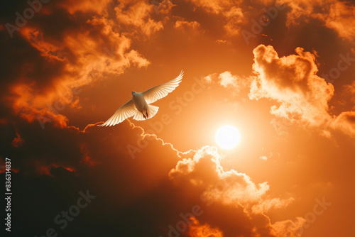 Sacred Symbolism: Dove Above Sun
