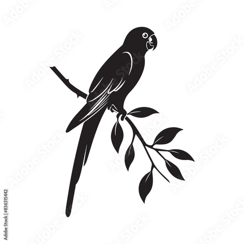 Silhouette of a parrot with a tuft sitting on a branch photo