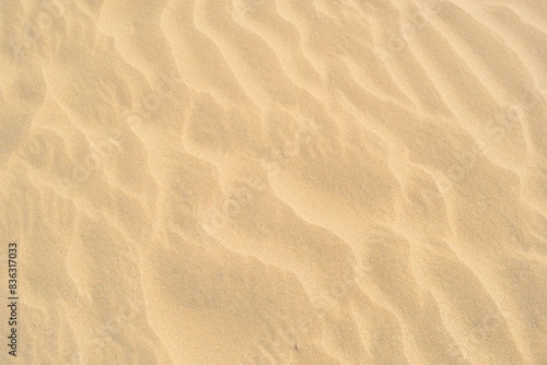 Fototapeta Naklejka Na Ścianę i Meble -  sand texture background