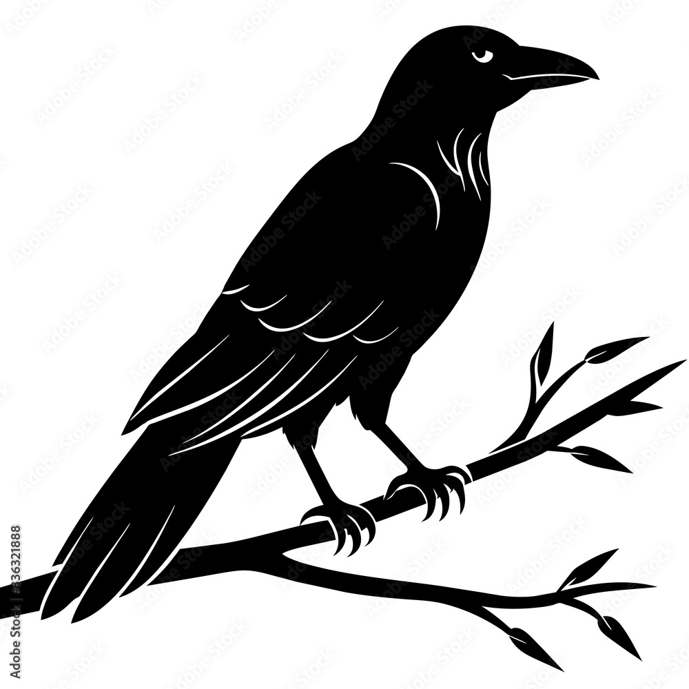 Fototapeta premium Crow sitting on a branch vector silhouette illustration.