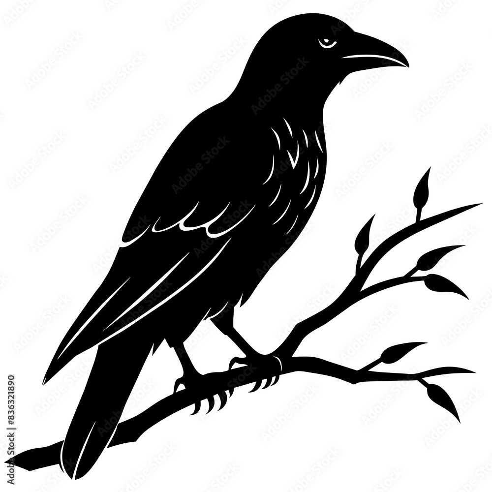 Obraz premium Crow sitting on a branch vector silhouette illustration.