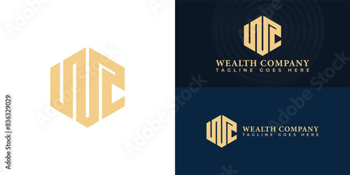 Abstract initial hexagon letter WC or CW logo in luxury gold color isolated on multiple background colors. The logo is suitable for wealth insurance agency logo design inspiration templates.