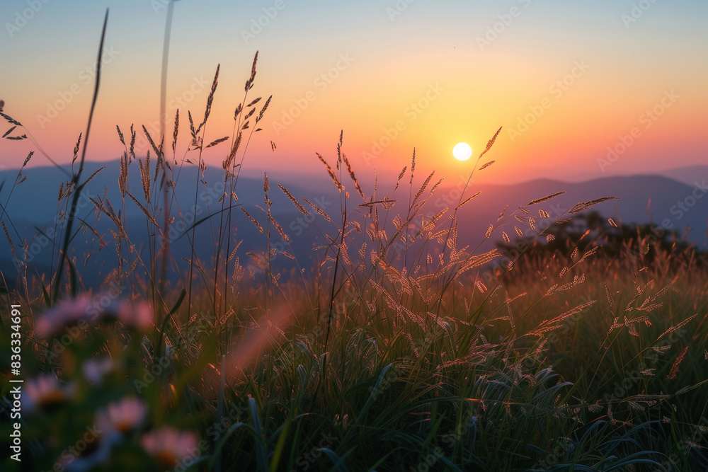 Steppe Grass in Sunset Light. Rural landscapes.
Steppe Grass in Sunset Light. Rural landscapes.