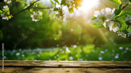 spring in the forest. Spring background with a wooden table top and blurred green meadow, a blossoming apple tree branch in the style of a spring park. © pikshine