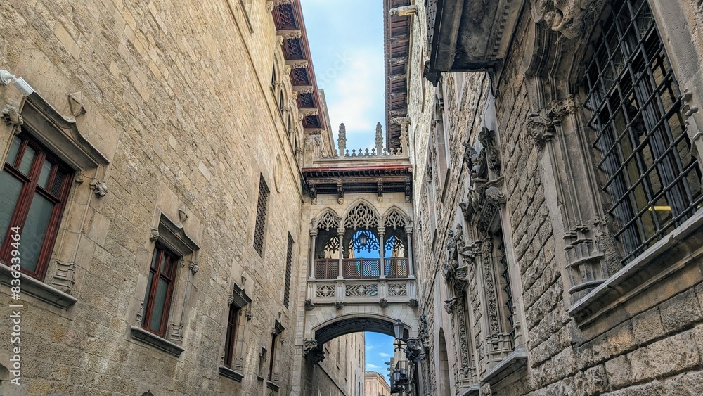 Fototapeta premium BARCELONE (Espagne)