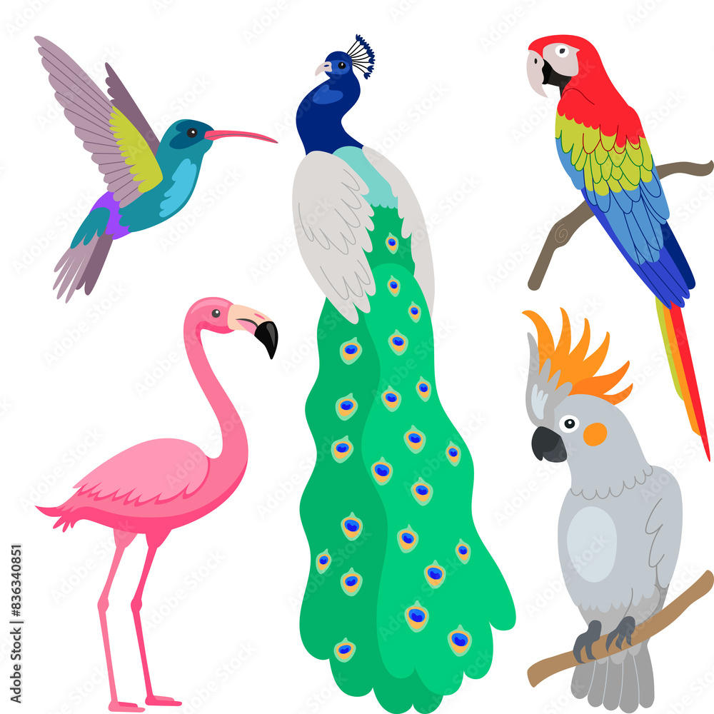 Seamless Pattern Peacock, Parrot, Flamingo, Calibri Seamless Pattern Peacock, Parrot, Flamingo, Calibri