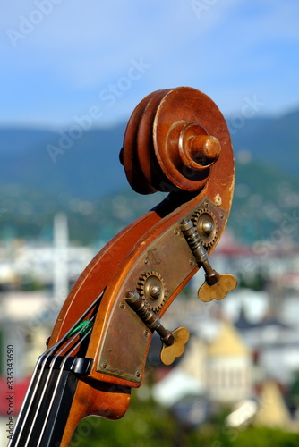 head and pegs of a hand-carved double bass against a city background photo