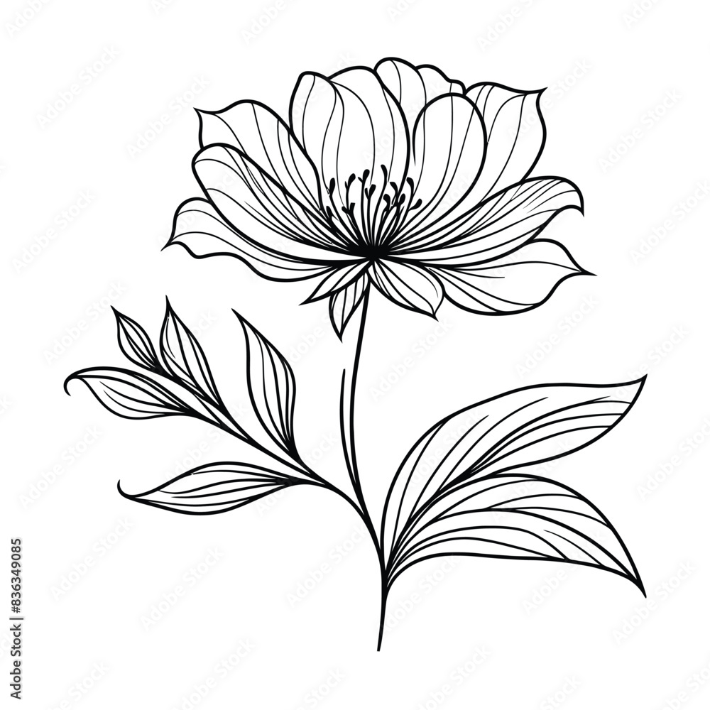 Line Art Drawing vector illustration design Line Art Drawing vector illustration design