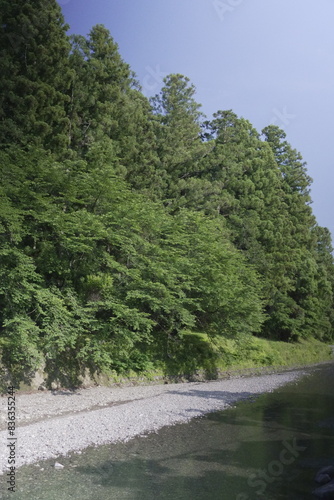 田舎に清流のある風景