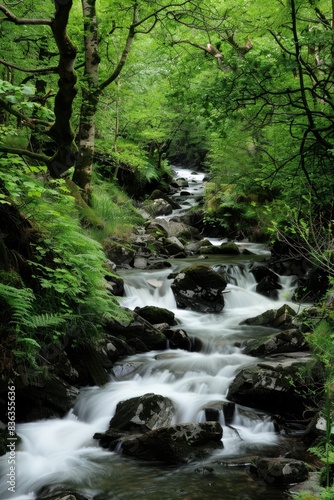 Serene Forest Stream Cascading over Rocks in Lush Greenery - Peaceful Nature Landscape with Copyspace