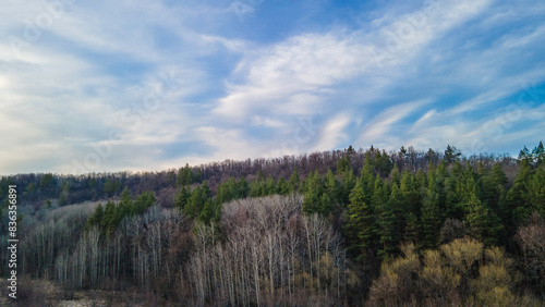 the forest in early spring aerial photography