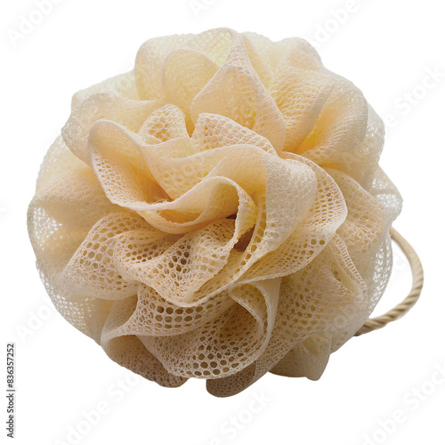 Natural loofah sponges on transparent background