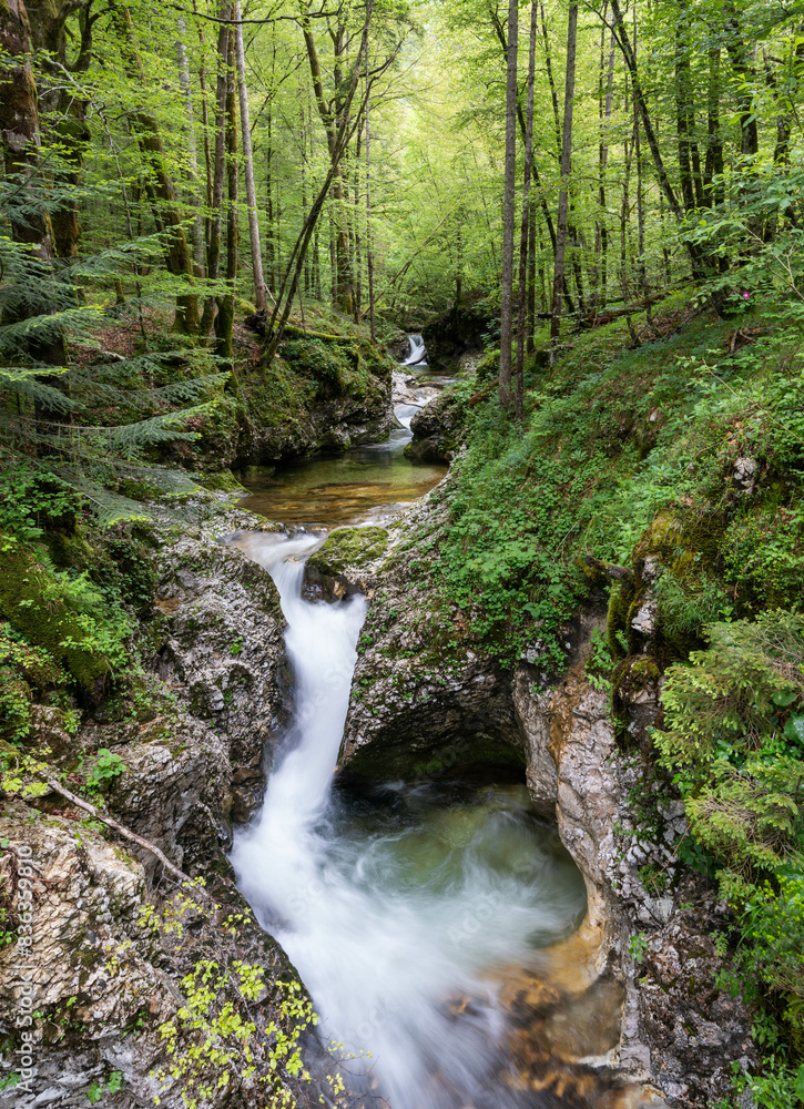 Water flows down a stream in the Julian Alps Slovenia Water flows down a stream in the Julian Alps Slovenia