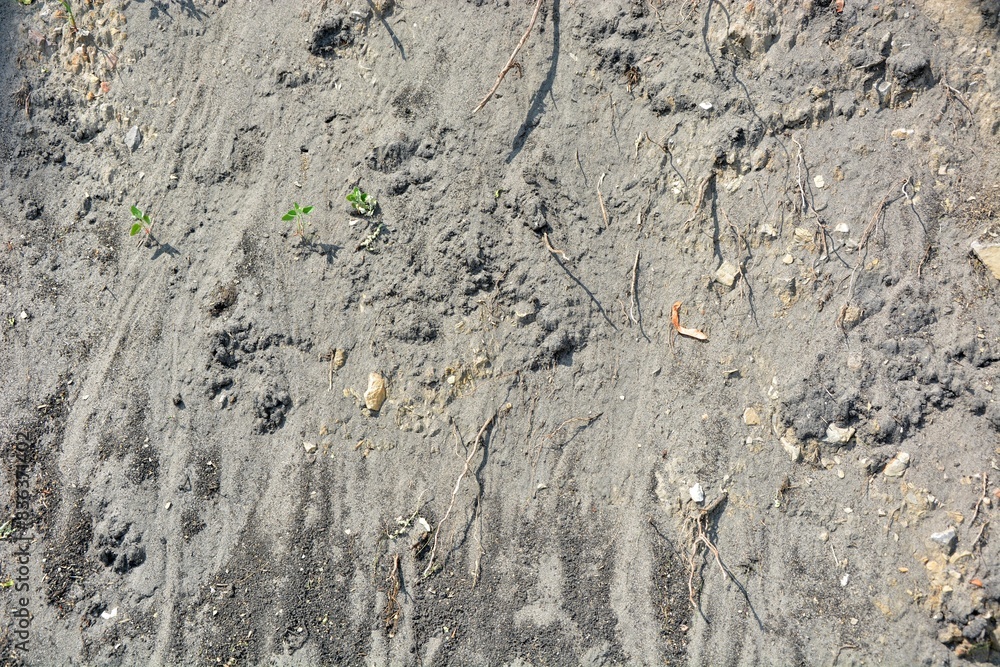 Naklejka premium Soil on the hill from the escarpment