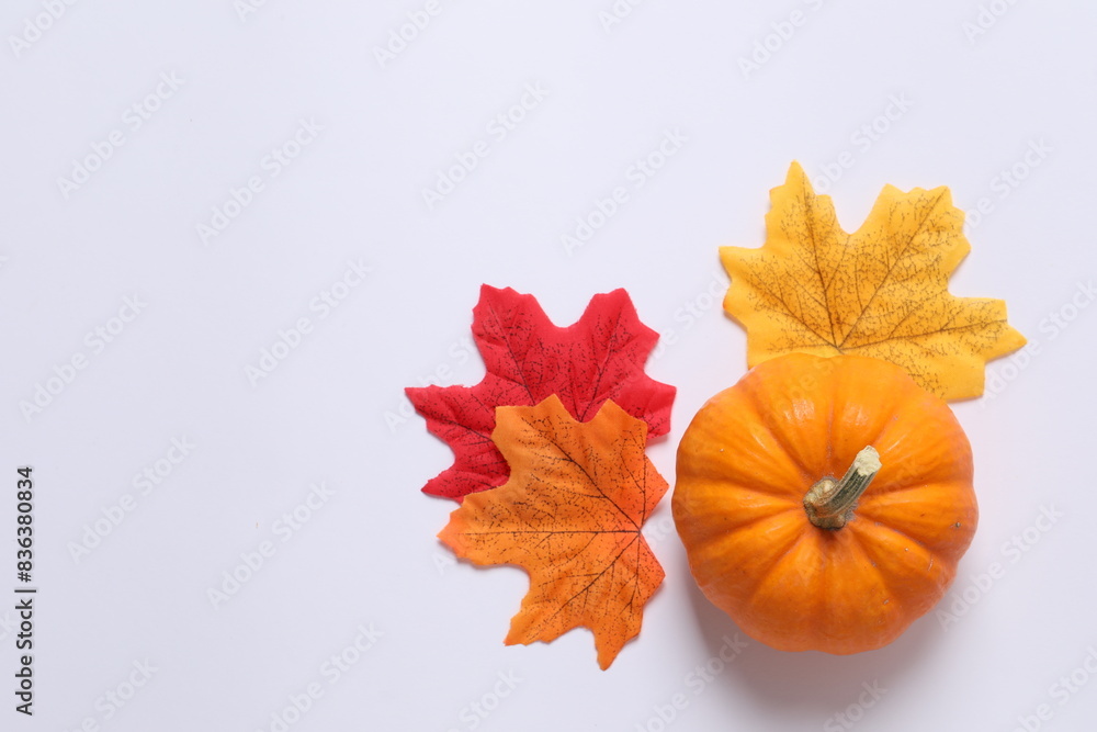 Orange pumpkin on white background, holiday decoration Orange pumpkin on white background, holiday decoration