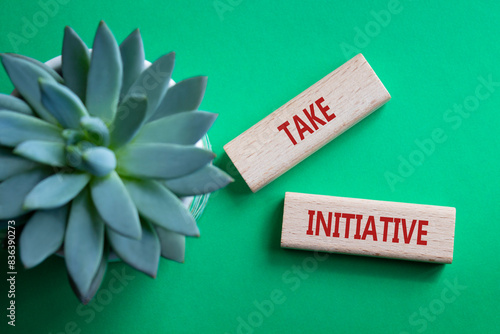 Take initiative symbol. Wooden blocks with words Take initiative. Beautiful green background with succulent plant. Business and Take initiative concept. Copy space.