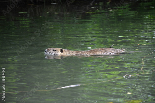 Exploring Lubbenau/Spreewald