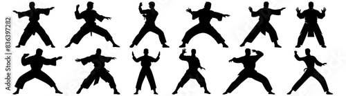 Fighter karate kung fu silhouette set vector design big pack of illustration and icon
