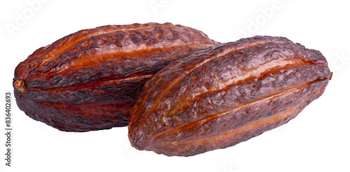 Wallpaper Mural Fresh cacao fruits isolated on white background. Dark red cocoa pods. Clipping path. Torontodigital.ca