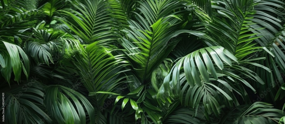 palm trees in an exotic tropical forest