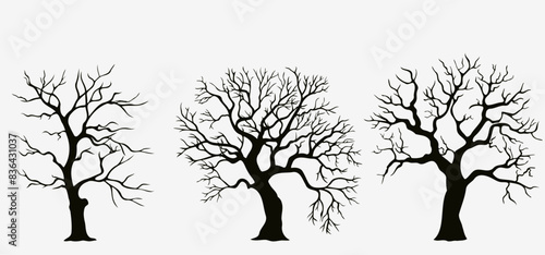 Set of black silhouettes of trees. Hand drawn vector illustration