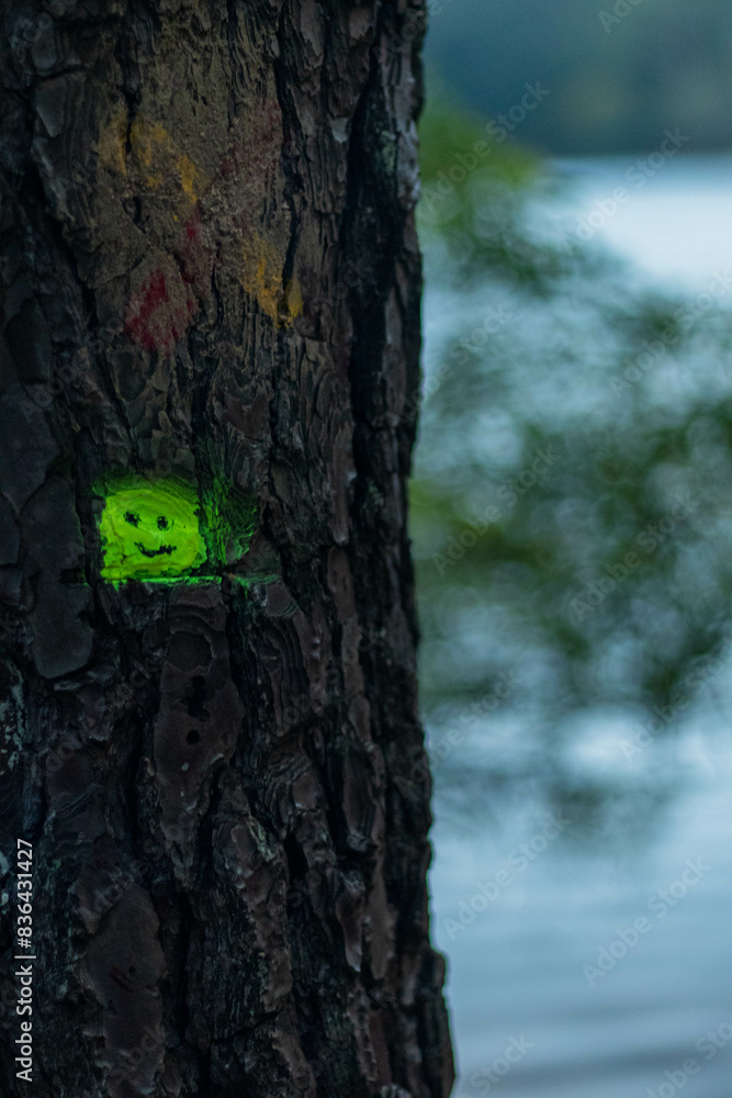 Fototapeta premium emoji in a tree