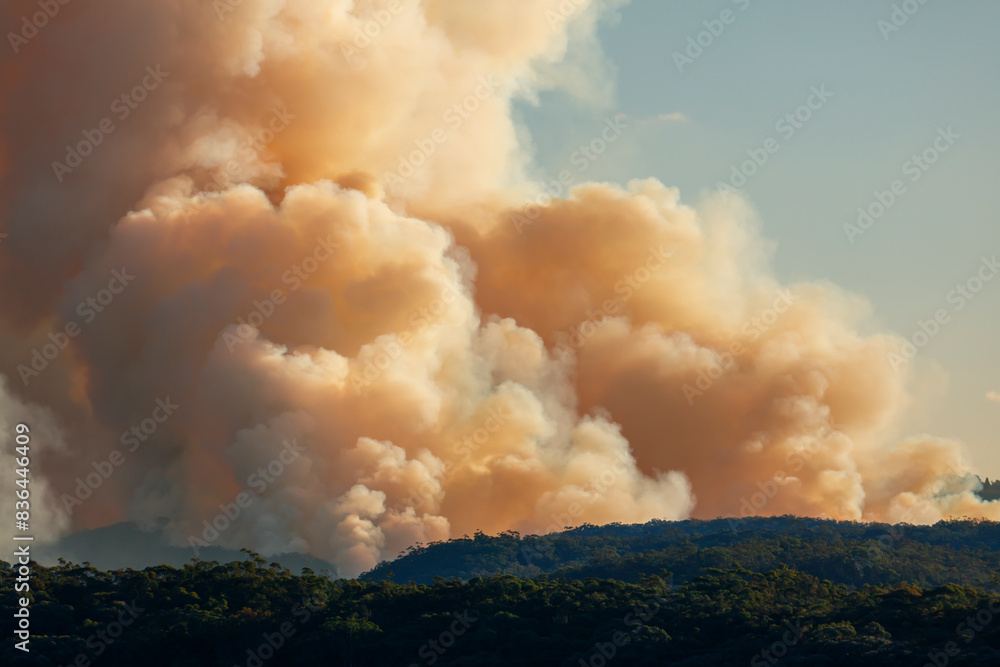 Photograph of controlled bush fire hazard reduction burning by the Rural Fire Service in the Blue Mountains in NSW, Australia. Photograph of controlled bush fire hazard reduction burning by the Rural Fire Service in the Blue Mountains in NSW, Australia.