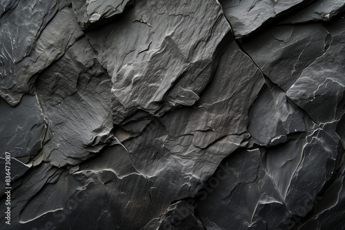 Wallpaper Mural bark of a tree Torontodigital.ca