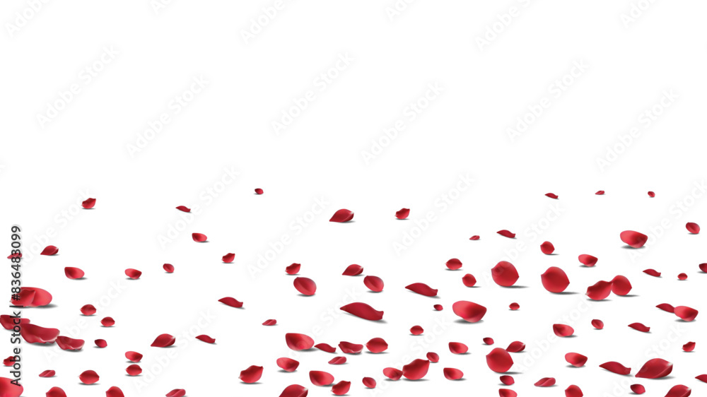 Red rose petals will fall on abstract floral background with gorgeous rose petal greeting card design. Red rose petals will fall on abstract floral background with gorgeous rose petal greeting card design.