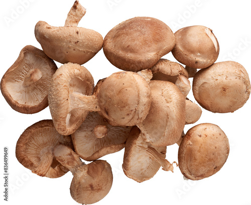 Fresh Shiitake Mushrooms - Ready to use PNG Cutout Premium Isolated Image photo