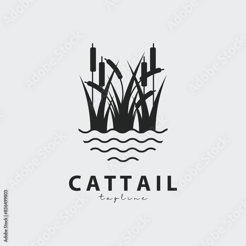 cattail logo vector illustration design