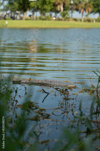 reflection in the water