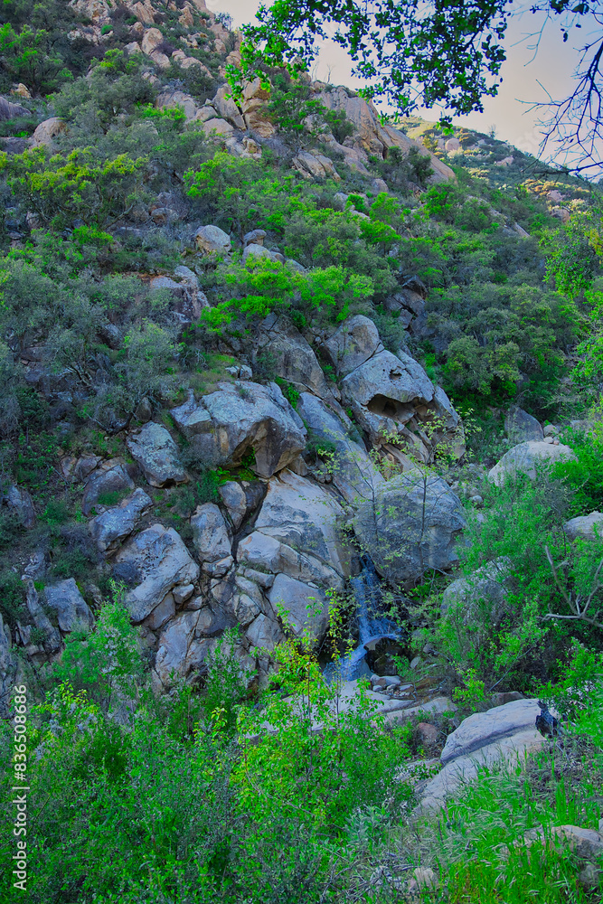Obraz premium Hiking on the Buena Vista Trail in Montecito California 