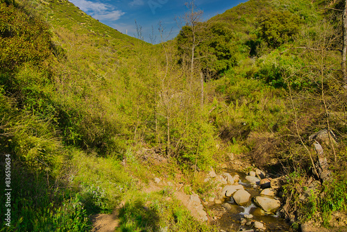 Hiking on the Buena Vista trail in Montecito California