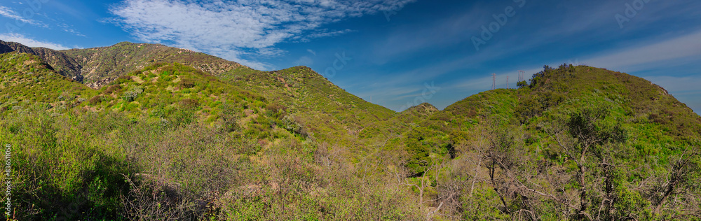 Fototapeta premium Hiking on the Buena Vista trail in Montecito California