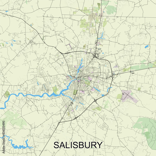 Salisbury, Maryland, United States map poster art