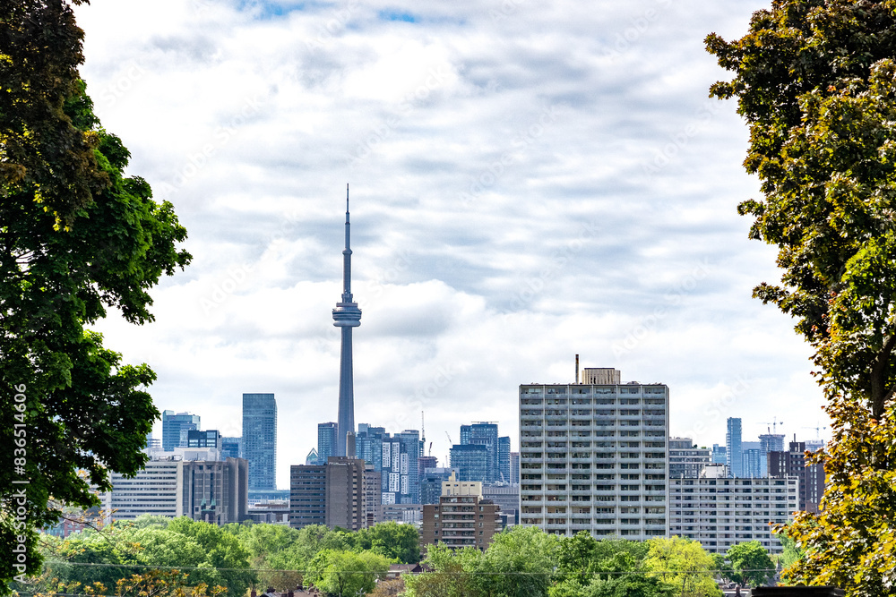 Fototapeta premium city skyline