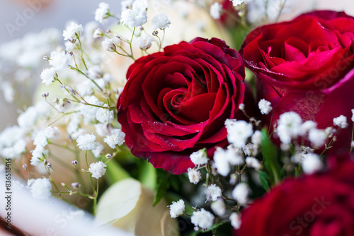 Festive background with red roses. Blooming red roses.