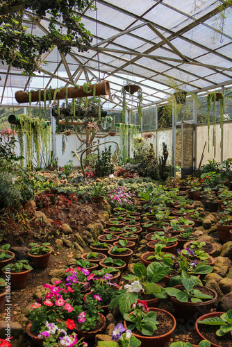 Greenhouse in Nuwara Eliya, Sri Lanka
