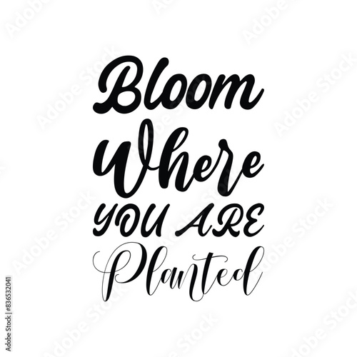 bloom where you are planted black letters quote