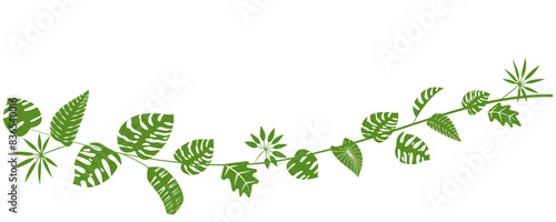 Tropical leaves pattern for summer and resort design. Green leaves illustration for botanical background. Vector illustration.