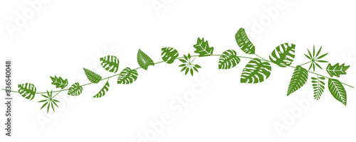 Tropical leaves pattern for summer and resort design. Green leaves illustration for botanical background. Vector illustration. photo