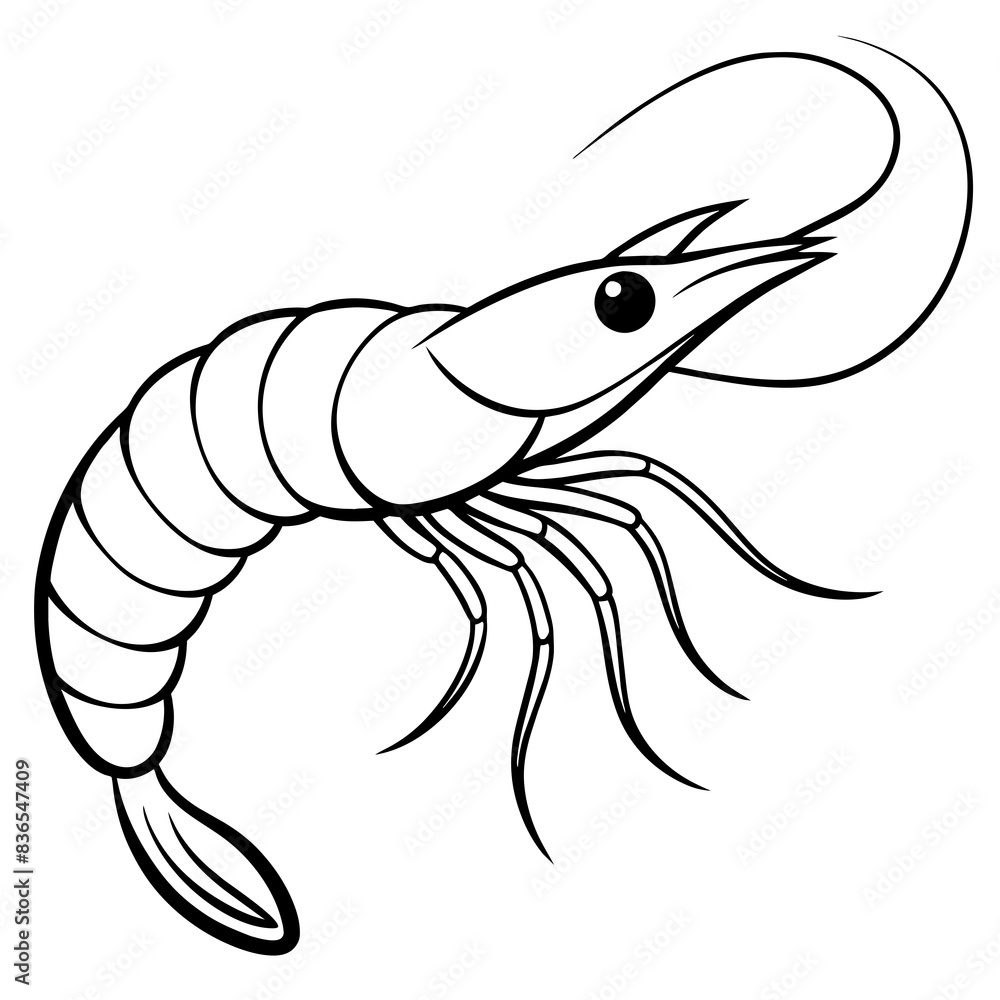 Simple shrimp line art vector illustration Simple shrimp line art vector illustration