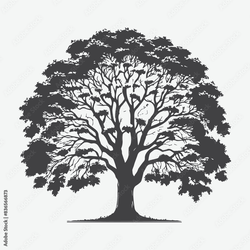 Fototapeta premium Print Majestic Linden Tree Silhouette, A Timeless Natural Beauty