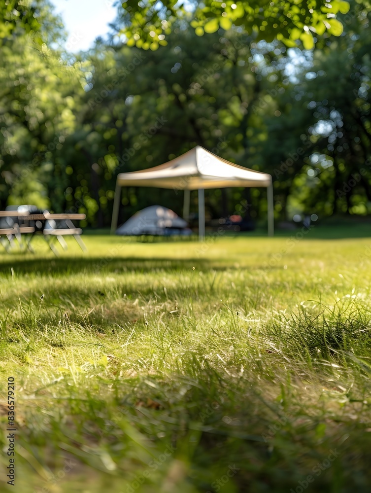 Sunny Camping Field with Tent and Folding Furniture in Shade Sunny Camping Field with Tent and Folding Furniture in Shade