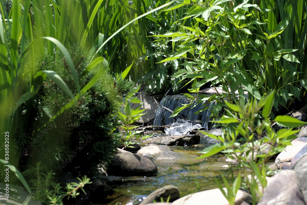 a stream and small waterfall surrounded by greenery a stream and small waterfall surrounded by greenery