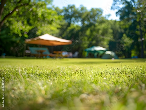 Sunny Camping Field with Canopy Tent and Grass Detail photo